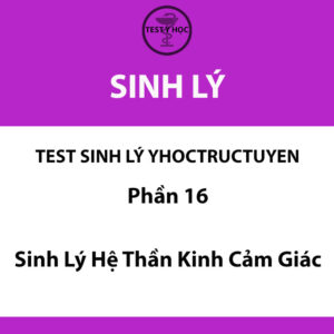 Câu hỏi trắc nghiệm sinh lý hệ thần kinh cảm giác của test sinh lý yhoctructuyen y hà nội
