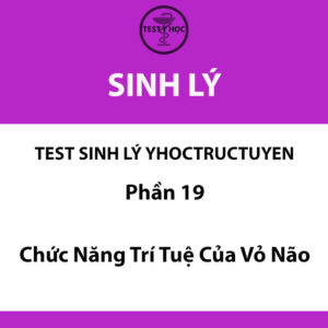 Câu hỏi trắc nghiệm chức năng trí tuệ của vỏ não của test sinh lý yhoctructuyen y hà nội